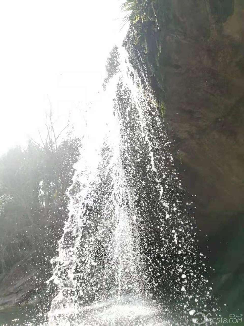 逗小猴开心系列171